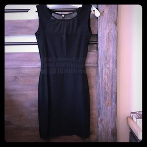 Black body con dress